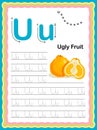 Preschool Colorful letter U Uppercase and Lowercase Tracing alphabets start with Vegetables and fruits daily writing practice