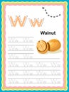 Preschool Colorful letter W Uppercase and Lowercase Tracing alphabets start with Vegetables and fruits daily writing practice