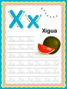 Preschool Colorful letter X Uppercase and Lowercase Tracing alphabets start with Vegetables and fruits daily writing practice