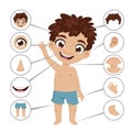 Preschool educational banner with young boy anatomy Royalty Free Stock Photo