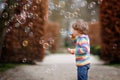 Preschool kid boy and little girl blowing on a dandelion flowers in park in the summer. Happy healthy toddler and school Royalty Free Stock Photo