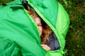 Preschool little girl in sleeping bag camping. Outdoors activity with children in summer. Fun and adventure camp, family Royalty Free Stock Photo