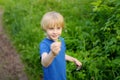 Preschooler boy is exploring nature with magnifying glass. Little child is looking on leaf with magnifier. Summer vacation for