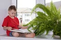 Preschooler boy reading a book Royalty Free Stock Photo