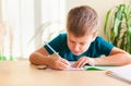 Preschooler boy studing at home Royalty Free Stock Photo