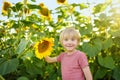 Preschooler boy walking in field of sunflowers. Child playing with big flower and having fun. Kid exploring nature. Baby having Royalty Free Stock Photo