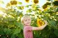 Preschooler boy walking in field of sunflowers. Child playing with big flower and having fun. Kid exploring nature. Baby having Royalty Free Stock Photo