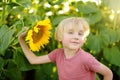 Preschooler boy walking in field of sunflowers. Child playing with big flower and having fun. Kid exploring nature. Baby having Royalty Free Stock Photo
