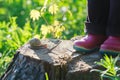Preschooler feet in red gum boots standing on tree