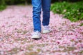 Preschooler girl walking in cherry blossom garden, path is covered by pipnk fallen petals and flowers Royalty Free Stock Photo