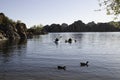 Prescott, Arizona, USA 04/24/2019 A man and woman kayaking on the early morning on Watson Lake