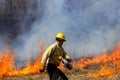 Prescribed Controlled Prairie Burn Royalty Free Stock Photo
