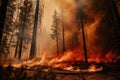 a prescribed fire in the woods Royalty Free Stock Photo
