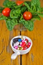 Prescription Pills and Medicine Medication Drugs versus Spinach Salad Royalty Free Stock Photo