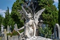 Statue of an angel in the S.anna cemetery in Trieste Royalty Free Stock Photo