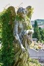 Angel with ivy in the S. Anna cemetery in Trieste Royalty Free Stock Photo