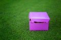 Present. Delicious, beautiful cakes in a box. Picnic