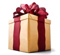 Present Gift Box Royalty Free Stock Photo