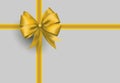 Present and gift ribbon, bow or loop