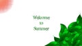 Presentation background in concept welcome to Summer with green leaves