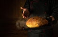 Presentation of freshly baked wheat bread in the hands of a baker. Space for advertising. The concept of baking bread