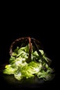 Presentation of green salad in basket Royalty Free Stock Photo