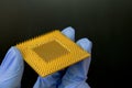 Engineer holds a processor