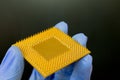Presentation of new processors