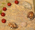 Presentation surface - vegetables, seashells, egg on marble surface: cherry tomatoes, bay leaves, oyster, seashells, egg