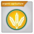 Presentation template - organic agriculture