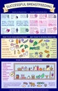 Presentation template What To Eat When Breastfeeding?Detailed vector baby infographic.Benefits and harms