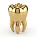 A Single Golden Molar Tooth on a White Background Royalty Free Stock Photo