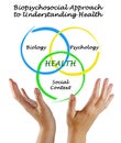 Biopsychosocial Approach to Understanding Health