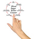 Blood Sugar Roller Coaster