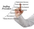 Components of Staffing Procedure