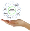 Components of Supplier Excellence