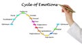 presenting Cycle of emotions