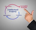 Intellectual property diagram Royalty Free Stock Photo