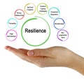 Eight drivers of Resilience