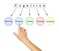 Five Components of  Cognition Royalty Free Stock Photo