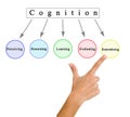 Five Components of  Cognition Royalty Free Stock Photo