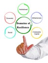 Five Domains of Resilience Royalty Free Stock Photo