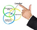 Leader qualities