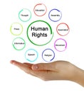 Presenting Nine Human Rights