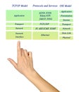 OSI and TCP/IP protocols