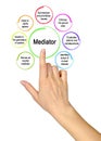 Presenting functions of mediator