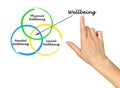 Diagram of wellbeing