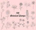 100 Procreate Botanical Stamps