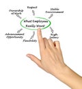 What Employees Really Want Royalty Free Stock Photo