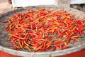 The preservation dried chili in a tray of Thailand Royalty Free Stock Photo